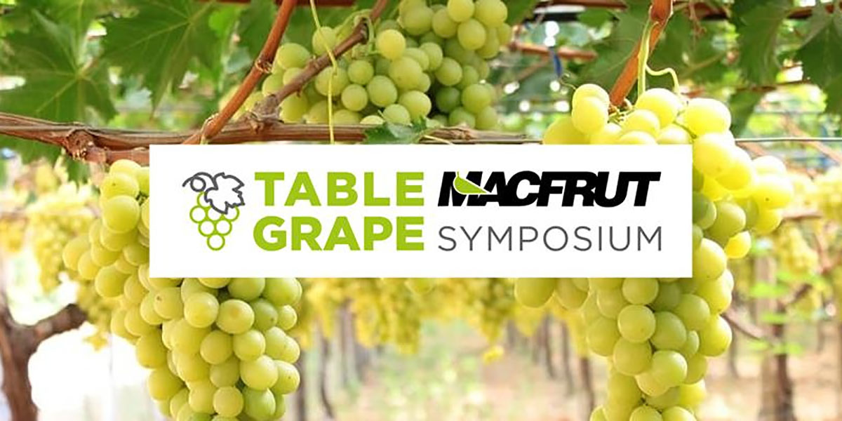 Uva da tavola in Italia: appuntamento a Macfrut al Table Grape Symposium